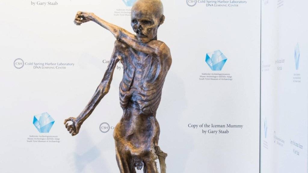 Gletschermann Ötzi - gut 5000 Jahre nach seinem Tod vom US-amerikanischen Paläontologen Gary Staab nachgebildet -, wie er im Südtiroler Archäologiemuseum in Bozen steht.