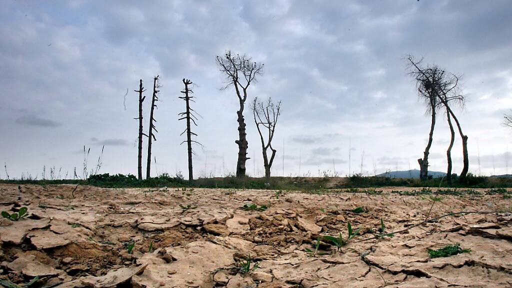 In vielen Regionen der Welt dürfte noch in diesem Jahrhundert ständige Dürre herrschen. (Archivbild)