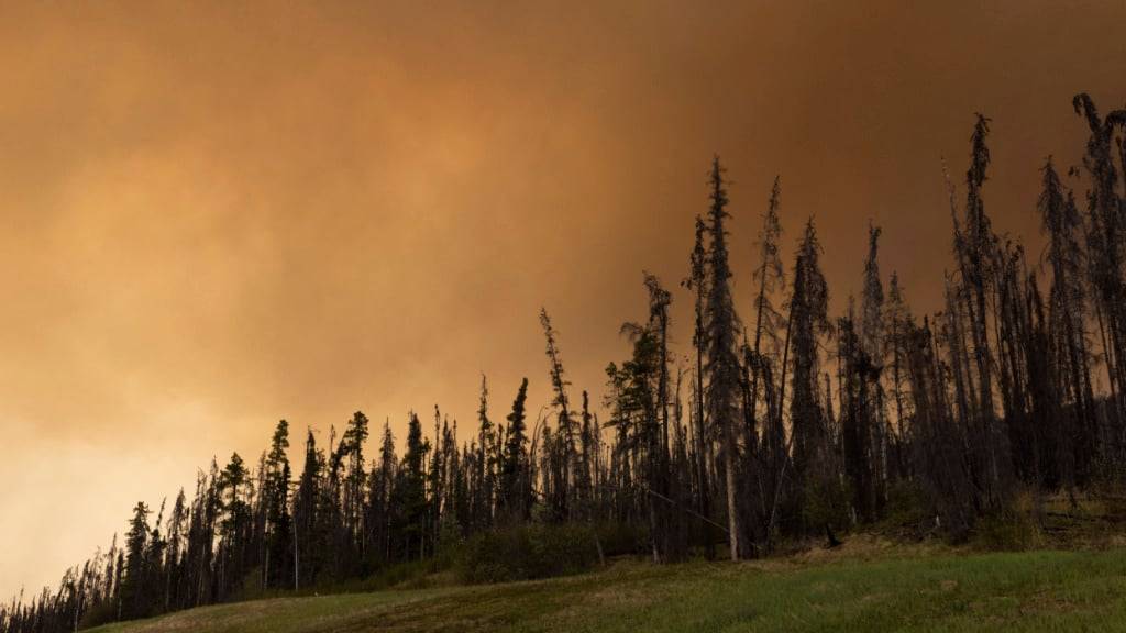 dpatopbilder - Der Rauch eines Waldbrandes hängt in der Luft über dem Highway 97 nördlich von Buckinghorse River, British Columbia. Foto: Nasuna Stuart-Ulin/The Canadian Press via AP/dpa - ACHTUNG: Nur zur redaktionellen Verwendung und nur mit vollständiger Nennung des vorstehenden Credits