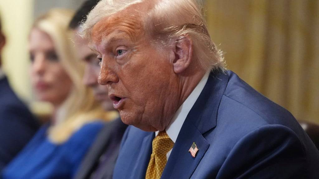US-Präsident Donald Trump spricht während einer Kabinettssitzung im Weißen Haus. Foto: Evan Vucci/AP/dpa
