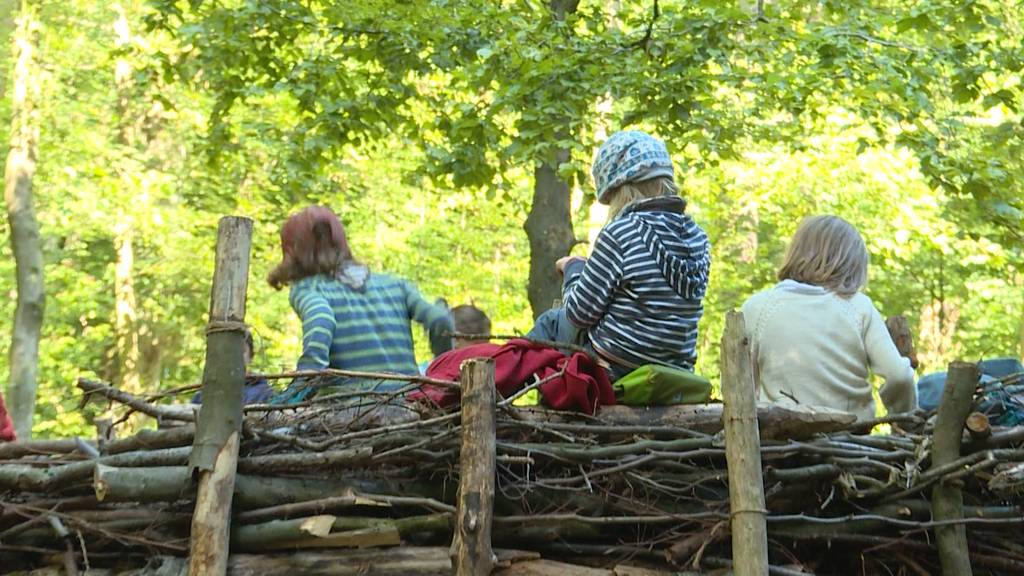 Bald 50 Prozent des Unterrichts für Kindergärtler im Wald?