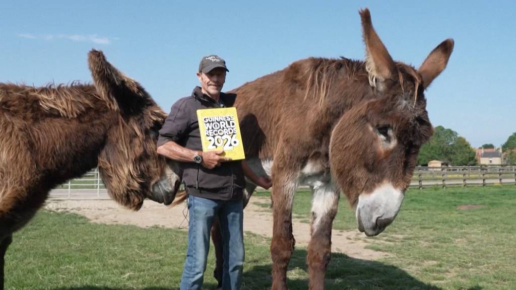 Riesige Esel, rollendes Schwein und fahrende Banane: Skurille Rekorde aus dem neuen Guinness-Buch