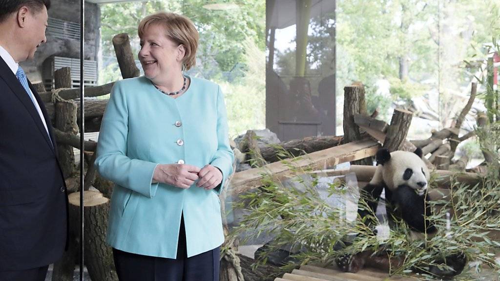 Im Zeichen deutsch-chinesischer Diplomatie haben die deutsche Kanzlerin Angela Merkel und Chinas Präsident Xi Jinping im Berliner Zoo die Anlage für zwei Riesenpandas eröffnet.