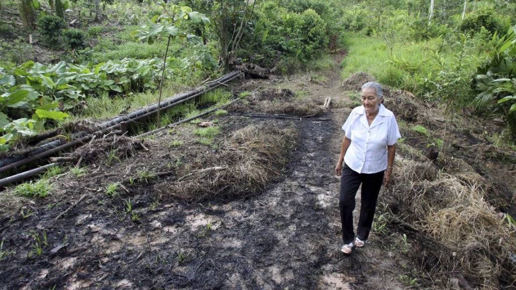Ureinwohner in Ecuador haben wegen Umweltverschmutzungen gegen den US-Erdölkonzern Chevron geklagt - das Strafmass von fast zehn Milliarden Dollar wurde nun aber von einem internationalen Schiedsgericht aufgehoben.