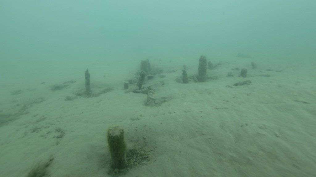 In der Thuner Bucht wurden erstmals Reste von Pfahlbauten gefunden.