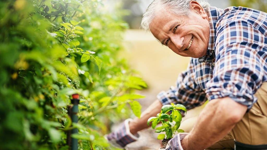 Dieser Rentner ist glücklich bei der Gartenarbeit. Seine Nachbarn sind wahrscheinlich nicht so glücklich darüber. (Bild: iStock)