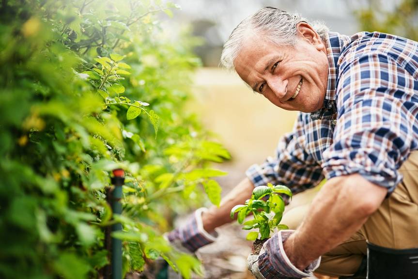 Dieser Rentner ist glücklich bei der Gartenarbeit. Seine Nachbarn sind wahrscheinlich nicht so glücklich darüber. (Bild: iStock)