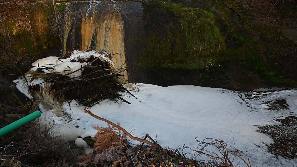 In Bächen bei Lenggenwil SG sind wegen ausgelaufener Gülle mehrere hundert Fische gestorben.