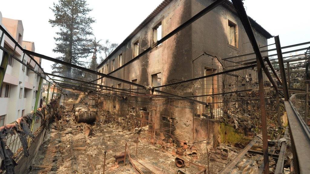 Eine Feuerruine in Funchal: Brände zerstörten hier rund 200 Häuser, drei Menschen kamen ums Leben.
