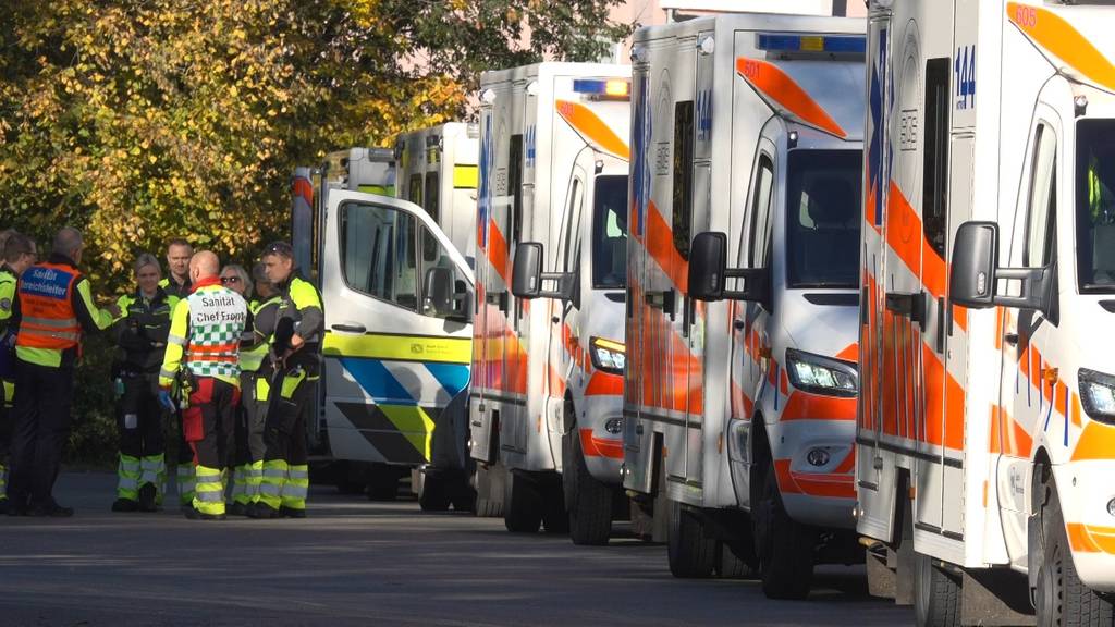 Grossaufgebot in Meilen: Rauchentwicklung im Hallenbad