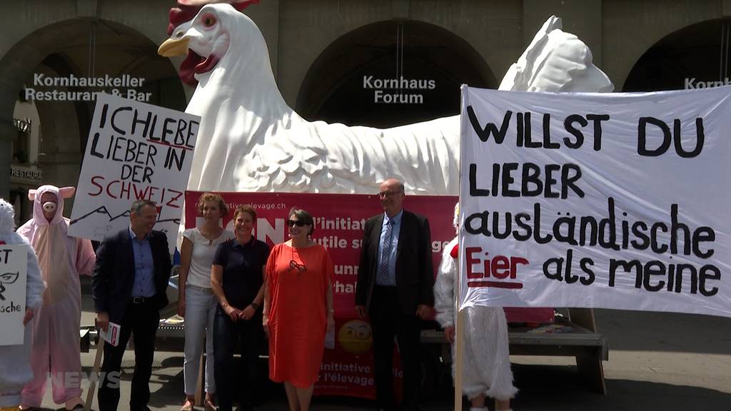 Eine Initiative fordert das Verbot der Massentierhaltung in der Schweiz