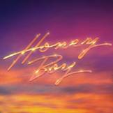 PURPLE DISCO MACHINE; BENJAMIN INGROSSO; NILE RODGERS; SHENSEEA - HONEY BOY
