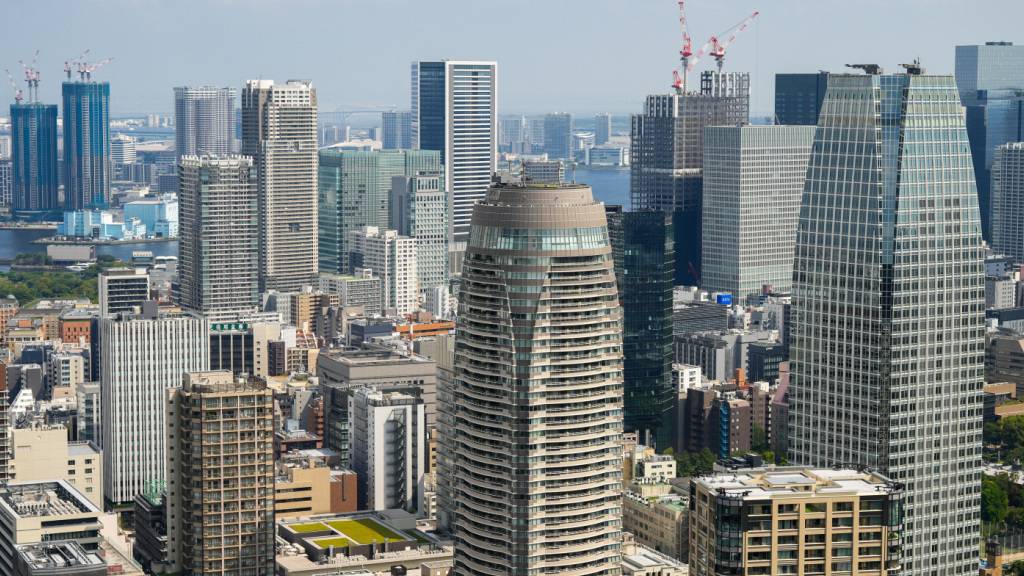 Starkes Erdbeben erschüttert Grossraum Tokio