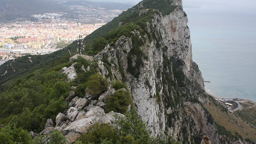 Am Affenfelsen, so wird das Gebiet in Gibraltar genannt, blamiert sich Celtic Glasgow