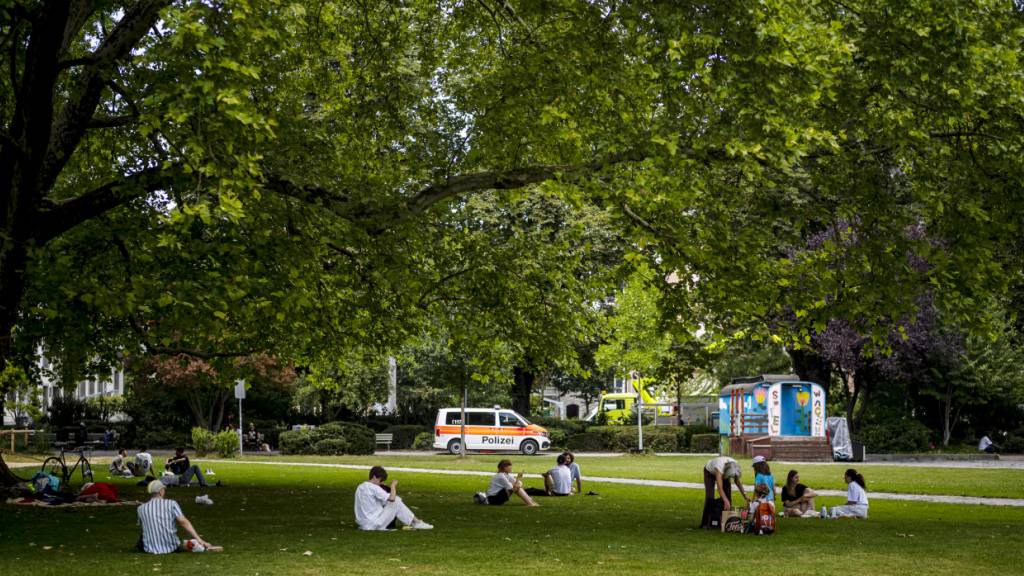 Die Bäckeranlage wird vielseitig genutzt. Neben Familien oder Jugendlichen sind auch Crack-Konsumenten anzutreffen. In der Zürcher Politik sind sie immer wieder Thema. (Archivbild)