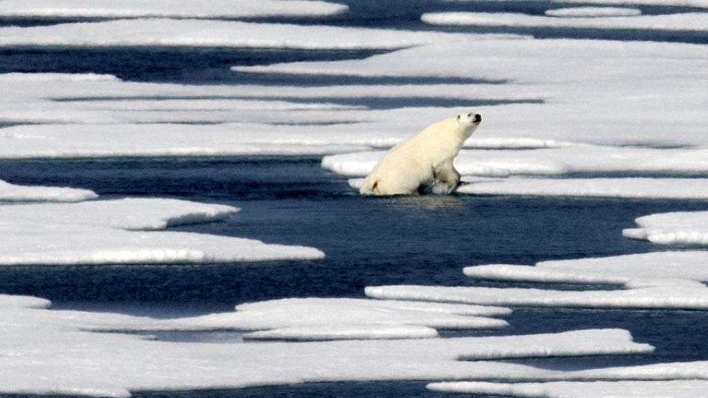 Das Arktis-Eis schmilzt rasant weiter. Einer der Gründe: Laut einer US-Untersuchung haben die Emissionen der drei schädlichsten Treibhausgase Kohlendioxid (CO2), Methan und Lachgas 2017 neue Rekordausmasse erreicht. (Themenbild)