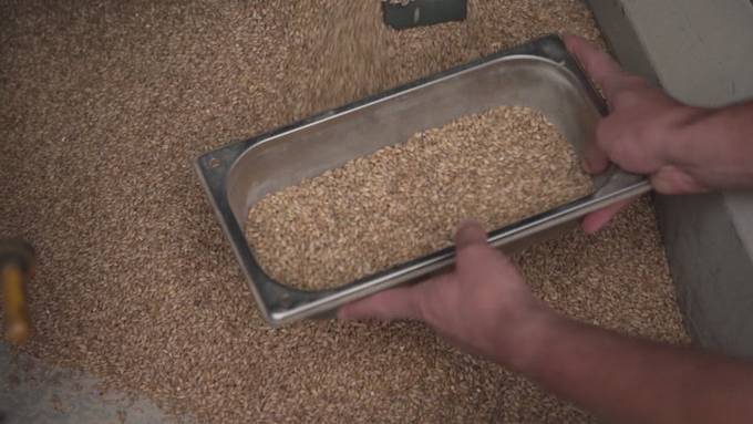 Grösste Brauerei der Schweiz