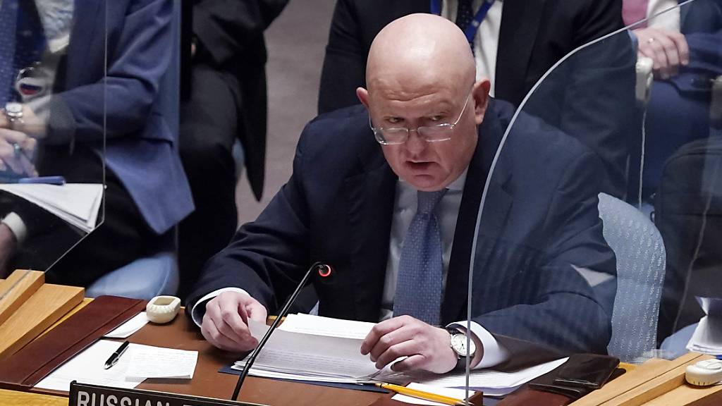 Abstimmung im UN-Sicherheitsrat zu Russlands Ukraine-Resolution