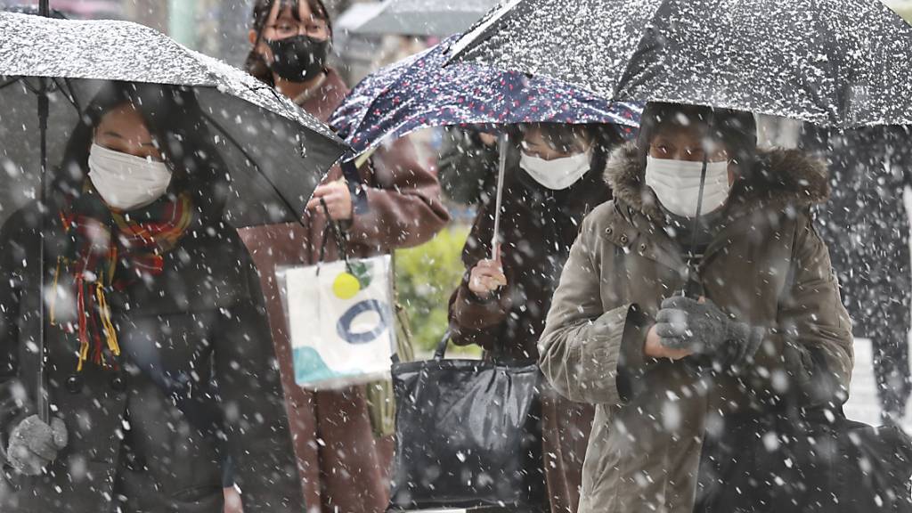 Schneefall in Tokio löst Behördenwarnung aus