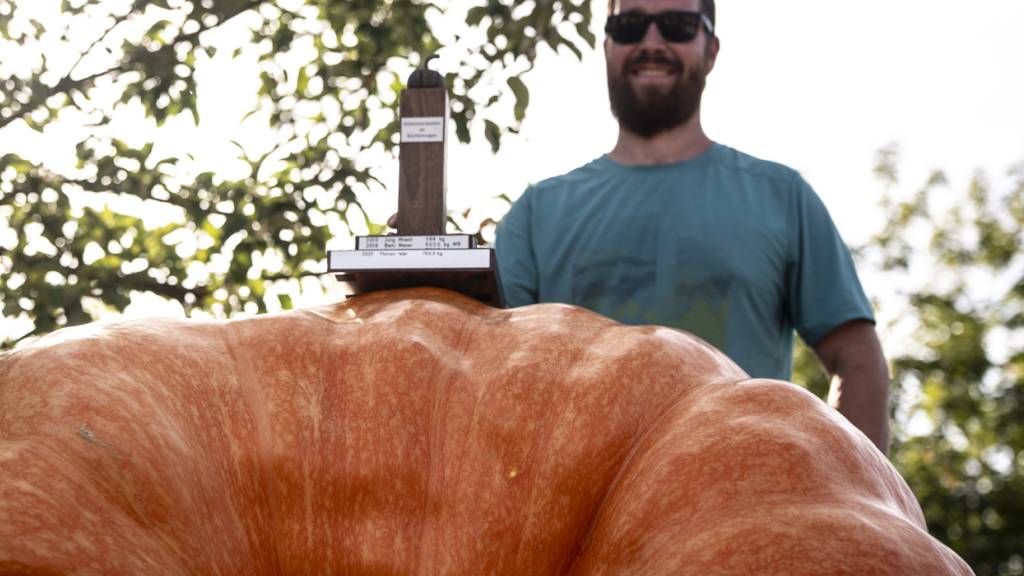 Der schwerste Kürbis der Schweiz hat am Samstag in Rapperswil-Jona 651,5 Kilogramm auf die Waage gebracht. Zum dritten Mal in Folge holte sich Florian Isler aus Esslingen ZH den Titel.