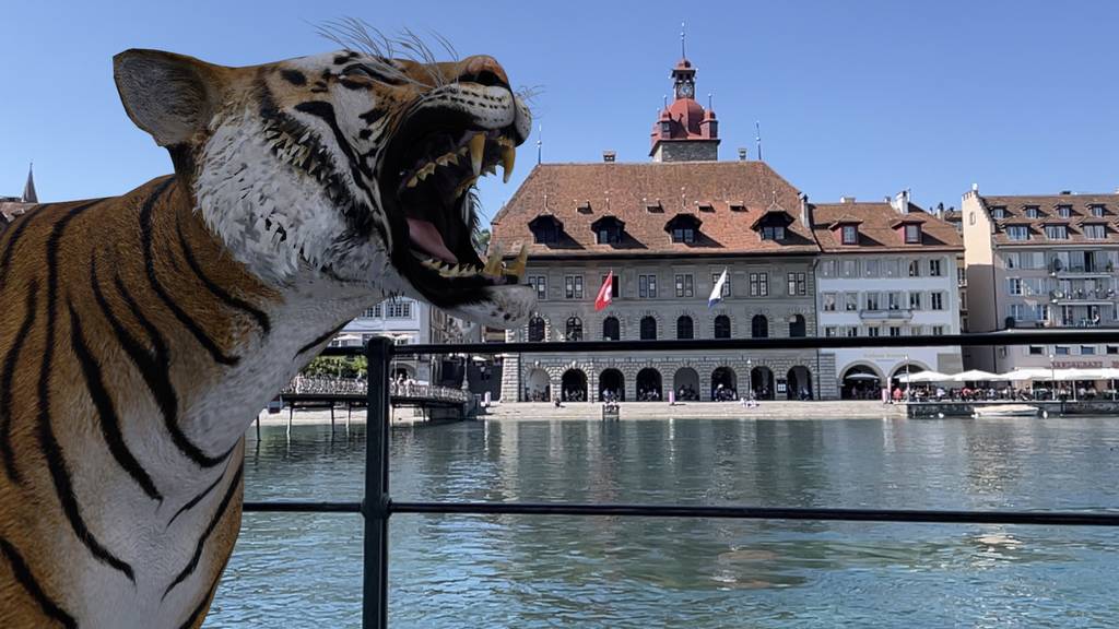 Tiger in Luzern, Einhorn steht auf dem Trottoir