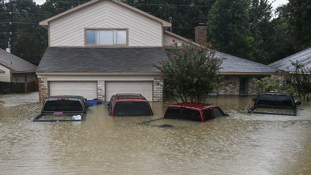 Nach dem Hurrikan «Harvey» warnen die Behörden nun im texanischen Houston vor allerlei gefährlichen Tieren in den Wohngebieten. (Archivbild)