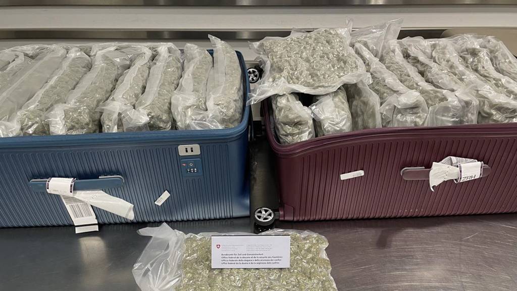 23 Kilo Gras und verstecktes Kokain – Polizei schlägt am Flughafen Zürich zu