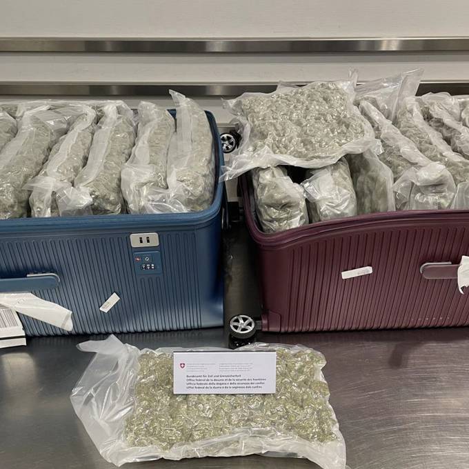 23 Kilo Gras und verstecktes Kokain – Polizei schlägt am Flughafen Zürich zu