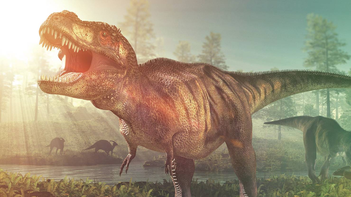 Рев динозавра. Тираннозавр рекс. Тарбозавр. Тарбозавр и Тираннозавр. Тарбозавр рекс.