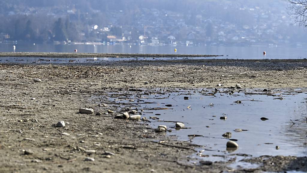 Die geringen Niederschläge in der Schweiz seit Januar bringen die Landwirte in eine schwierige Lage: «Es gibt noch Wasser für den Saison-Bedarf, aber zur Zeit der Schneeschmelze in zwei bis drei Monaten wird es knapp werden», warnte der Hydrologe Massimiliano Zappa. (Symbolbild)
