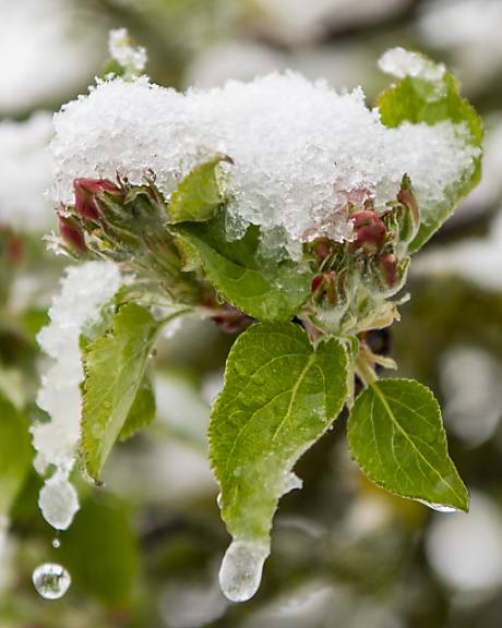 «Es steht ein mühsames Wochenende an» – der Frühling lässt weiterhin auf sich warten