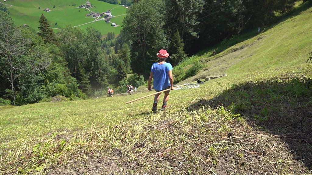 Bergfrauen: Wildheuerin