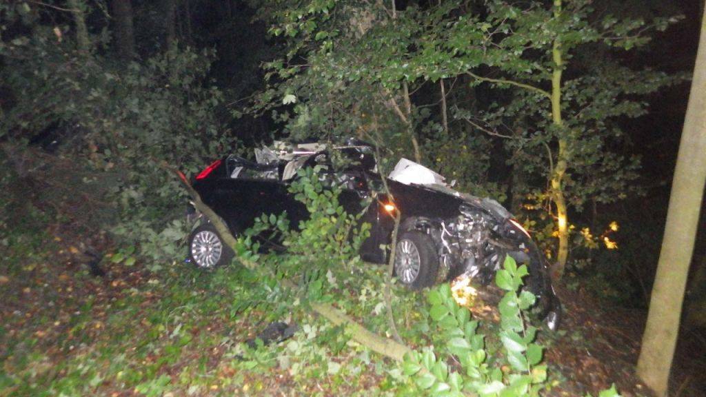 In Belfaux FR neben der Strasse gegen Bäume geprallt und tödlich verletzt: Für einen 36-jährigen französischen Autofahrer kam in der Nacht auf Sonntag  jede Hilfe zu spät.