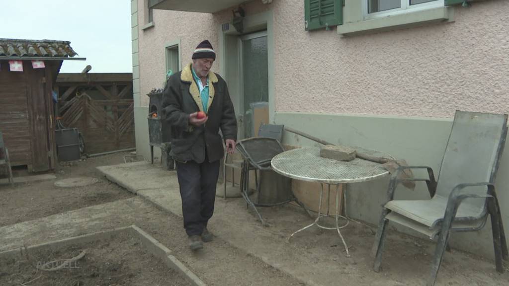 Zeugen gesucht: Hausschwein in Kölliker Garten erschossen