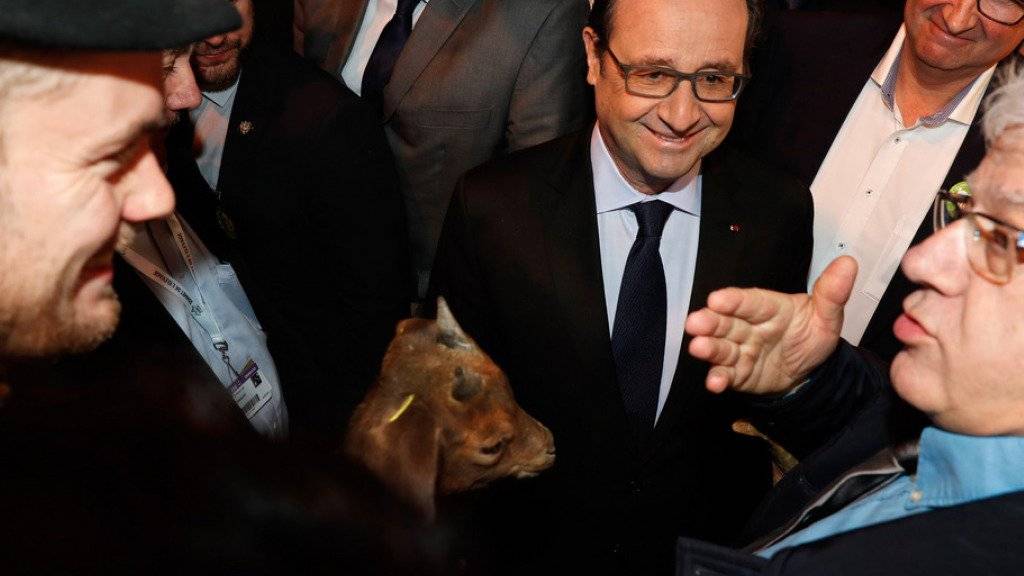 François Hollande spricht an der Agrarmesse am Samstag in Paris mit einem Landwirt, der eine Ziege dabei hatte.
