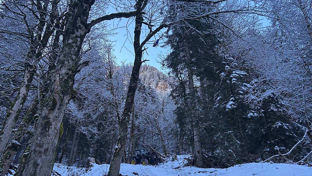 Der 70-Jährige wurde mit einem Helikopter in ein Spital geflogen.