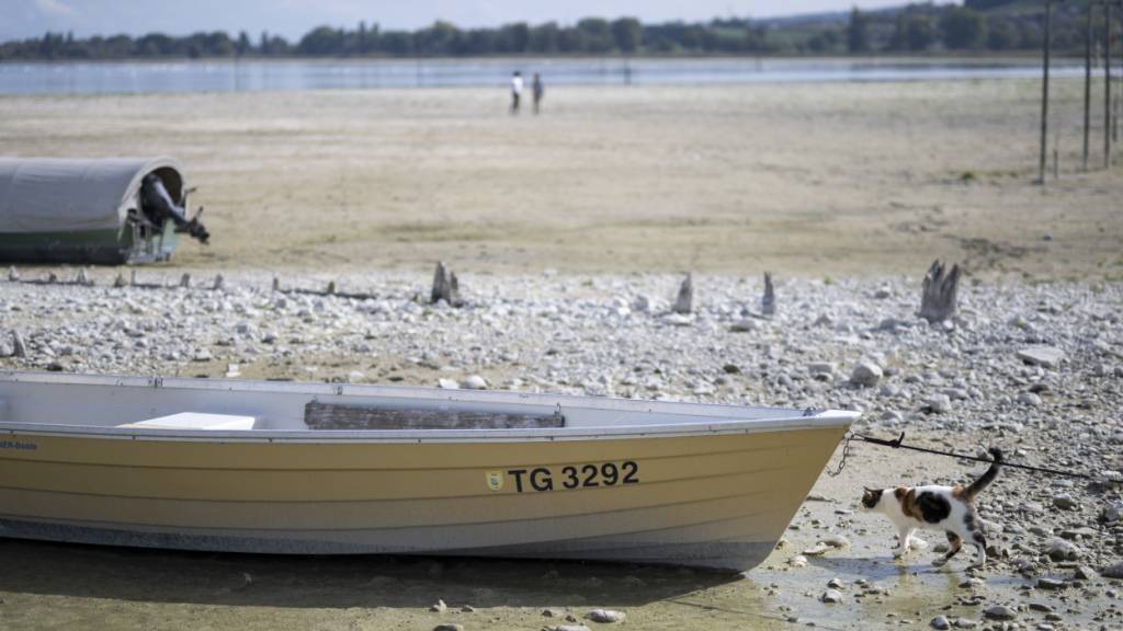 Mit 56 Massnahmen in 30 Handlungsfeldern will der Bundesrat die Folgen des Klimawandels - im Bild der Bodensee Anfang Oktober - eindämmen. (Archivbild)