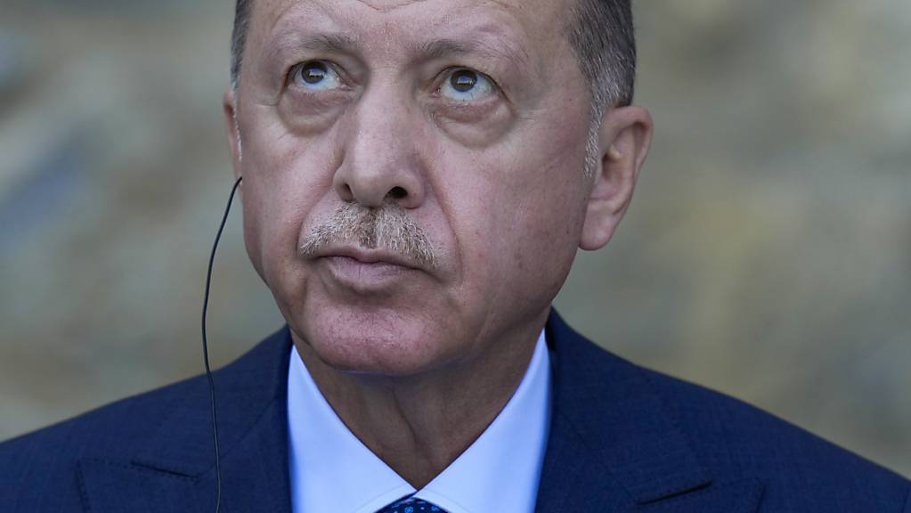 Der türkische Präsident Recep Tayyip Erdogan während einer Pressekonferenz.