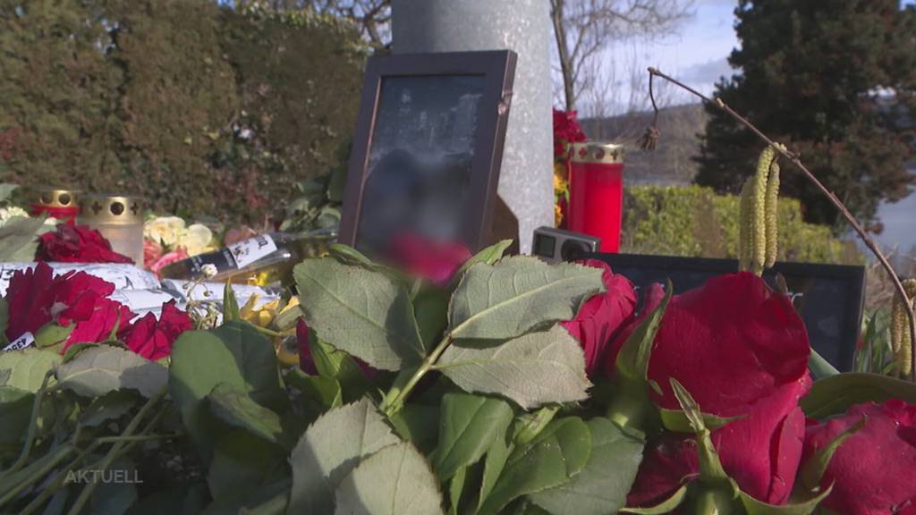 Unbelehrbar: Wieso steigt Trainsurfer nach Tod des Kollegen wieder auf einen Zug?