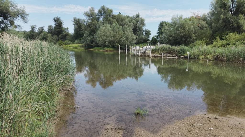 Nichts mit Rundfahrt: Schiffe auf dem Alten Rhein stehen still