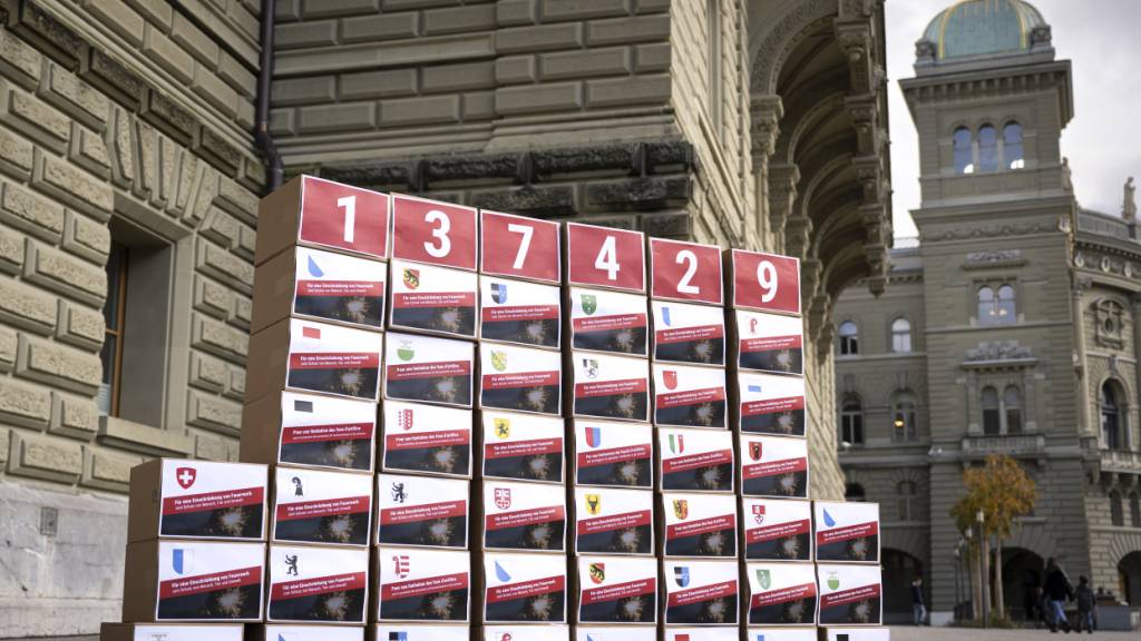 Der Nationalrat berät über einen indirekten Gegenvorschlag zur 2023 eingereichten Feuerwerk-Initiative. (Archivbild)