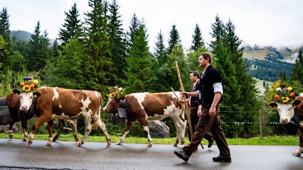 2025 ist für die Schweizer Landwirtschaft bisher ein gutes Jahr gewesen. Das zeigen Zahlen des Bundesamtes für Statistik. (Archivbild)