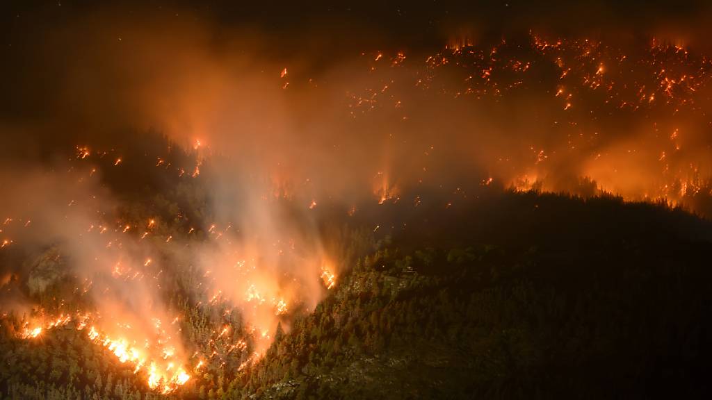 Noch immer drohen Glutnester im Wald bei Bitsch VS erneute Brände auszulösen. (Archivbild)
