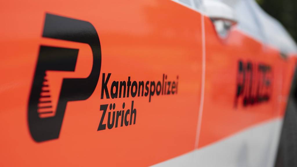 Die Kantonspolizei Zürich verhaftete am Montag an zwei Orten gleich vier mutmassliche Einbrecher. (Archivbild).