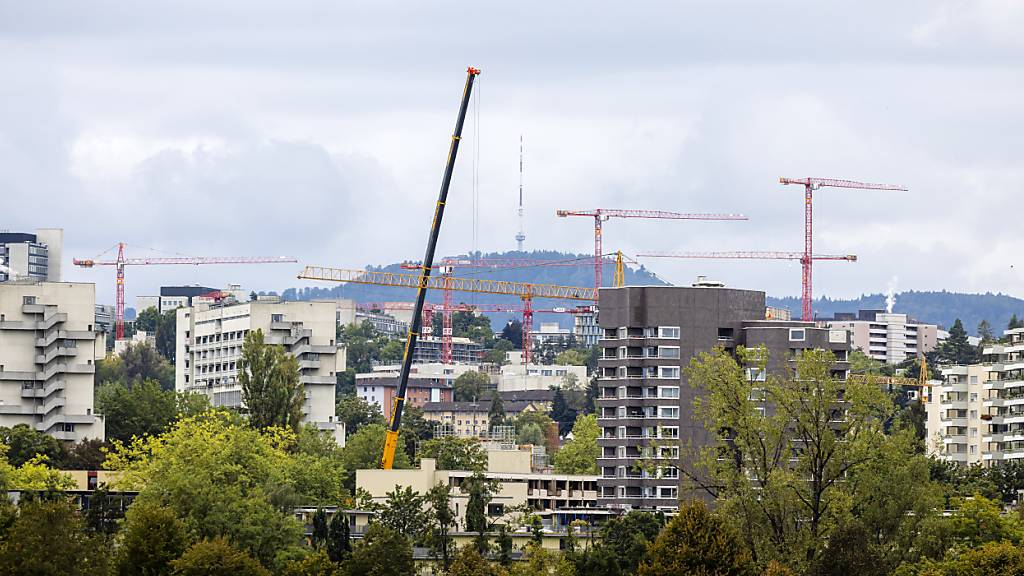 Die Stadtzürcher Stimmberechtigten werden bald für eine Initiative der AL an die Urne gebeten.