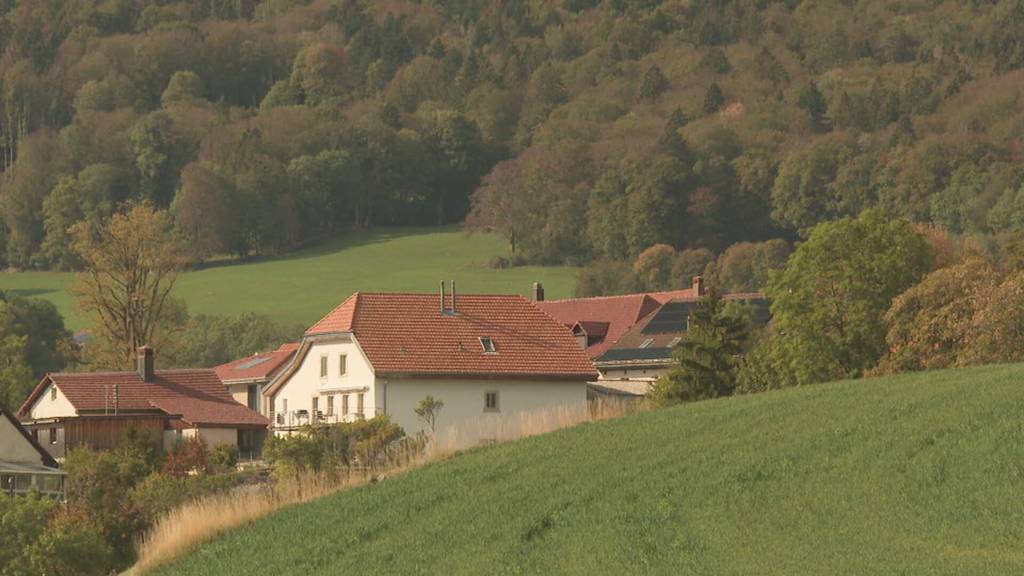 Wolf im Berner Jura