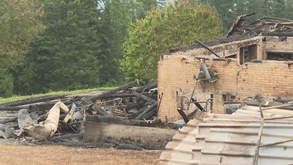 20 Tiere sterben bei Scheunenbrand in Eggiwil