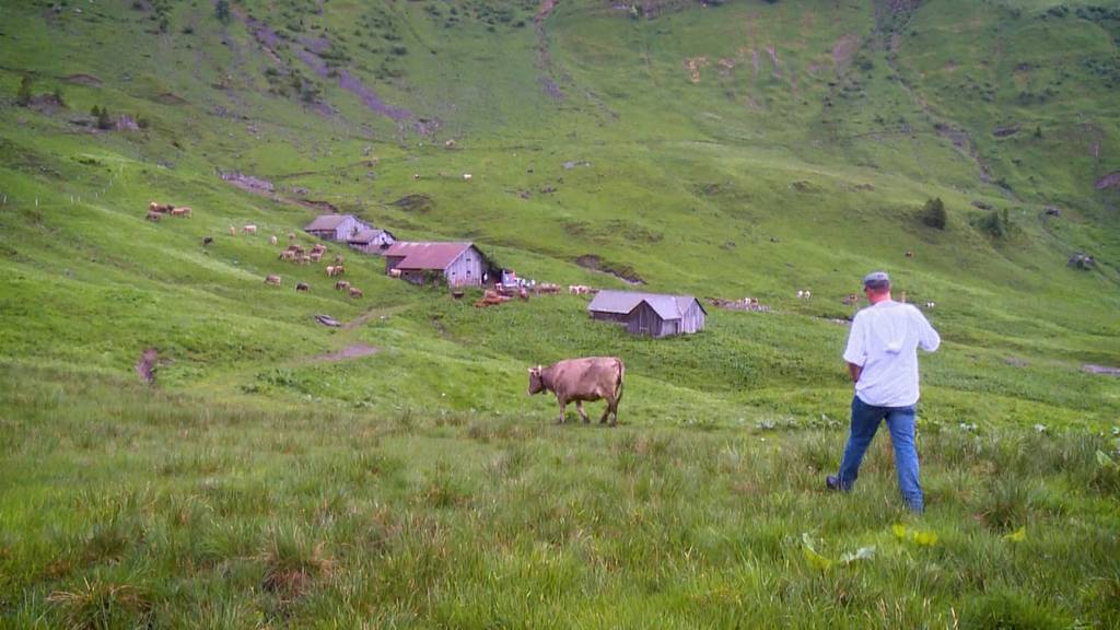 Zrugg uf d'Alp: Die nächste Generation