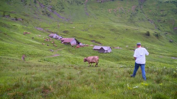 Zrugg uf d'Alp: Die nächste Generation