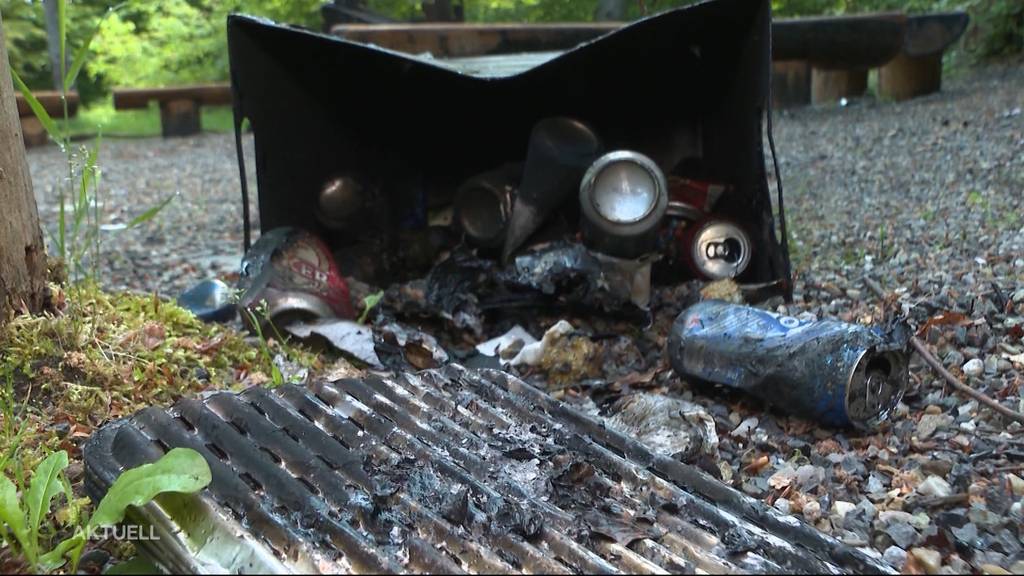 Während Partynacht Grillplatz verwüstet